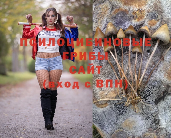 прущие крисы Армянск
