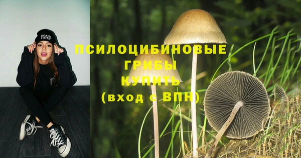 прущие крисы Армянск