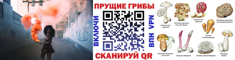 Псилоцибиновые грибы Psilocybine cubensis  Купить где  Учалы 